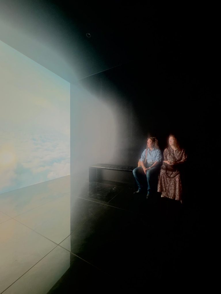 Vor dem Bild von Ezequiel Pini (Six N. Five) The Symphony of Nature